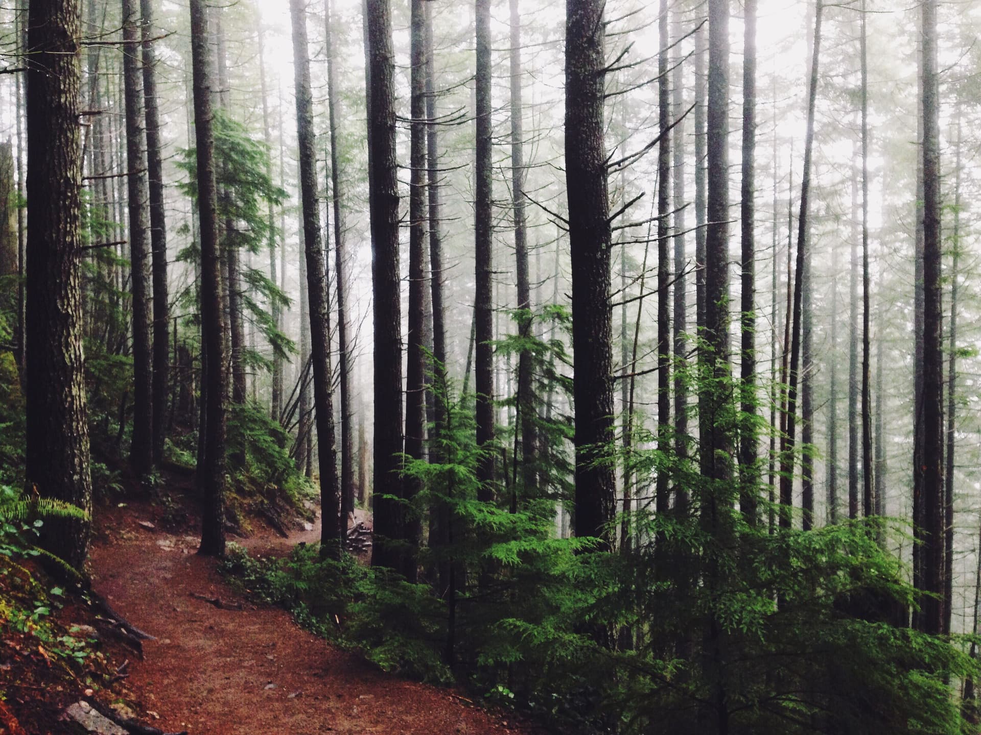 Hiking Trail List - BayArea, CA