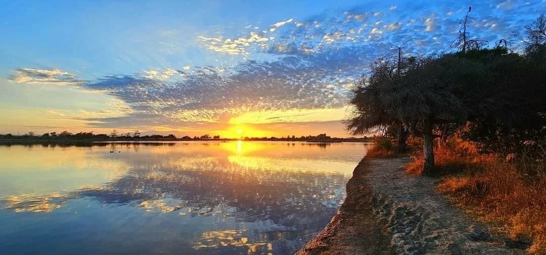 Sunset walk at Alviso