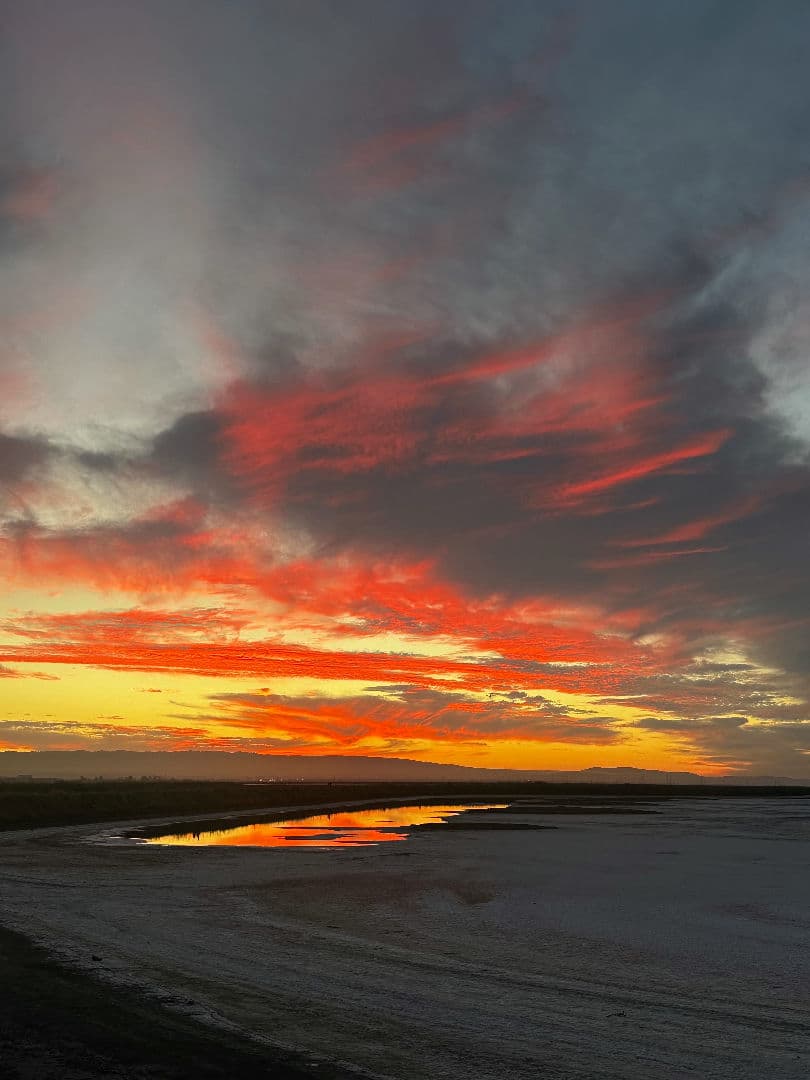 Sunrise at Alviso