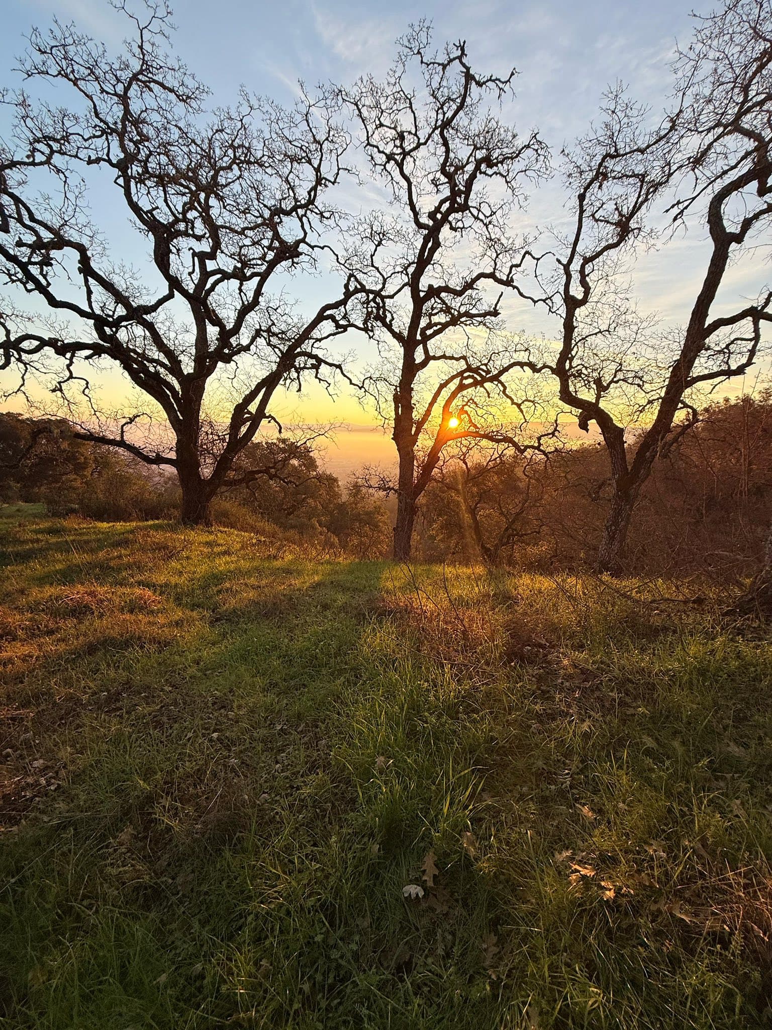 Monday Recurring Walks for July
