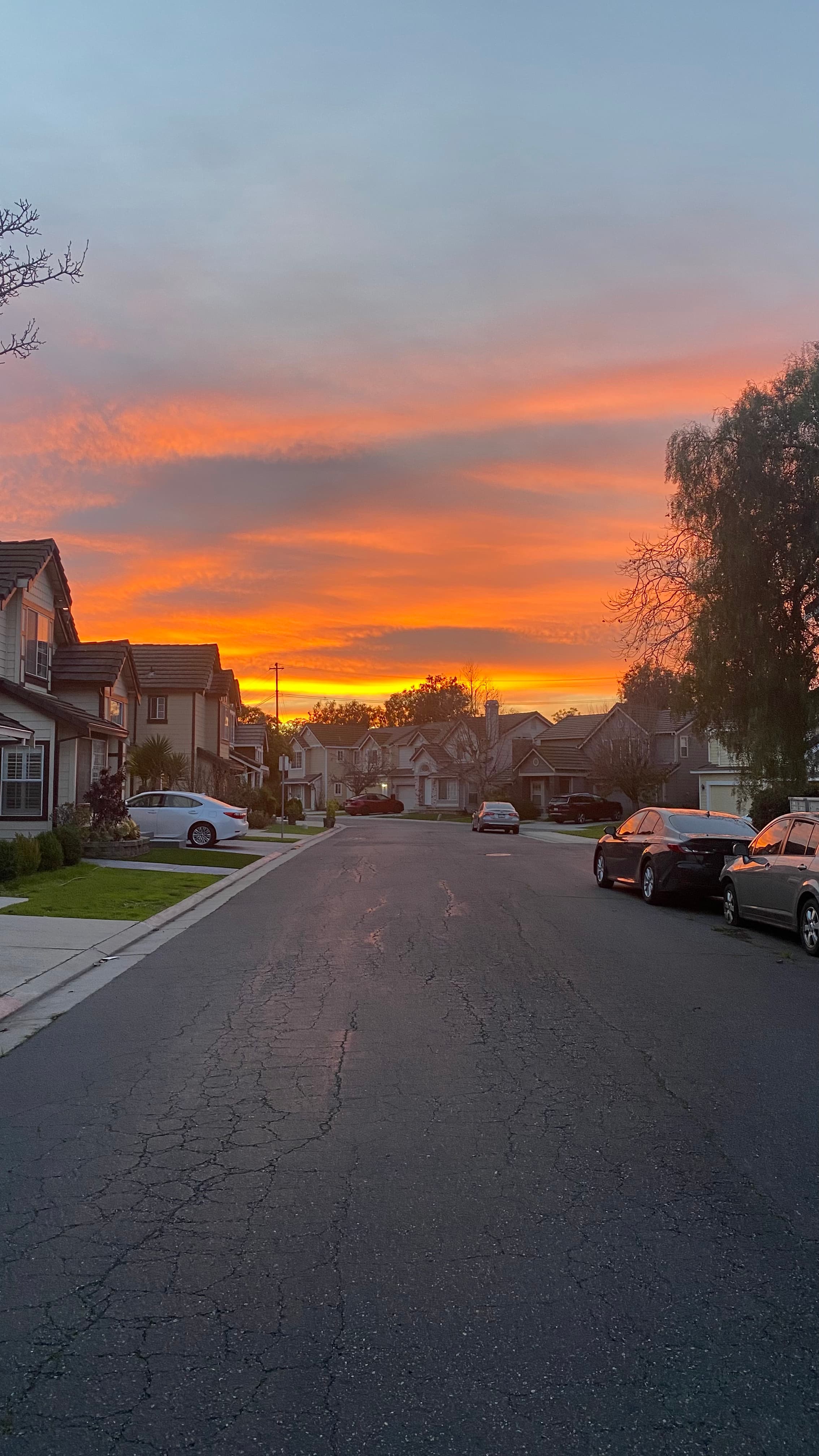 Thursdays Evening Walks