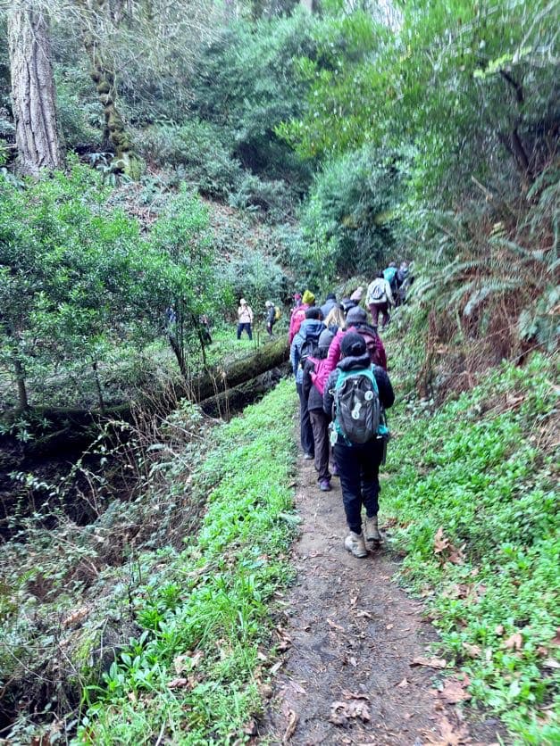 Progressive Hiking Series - Hike#2