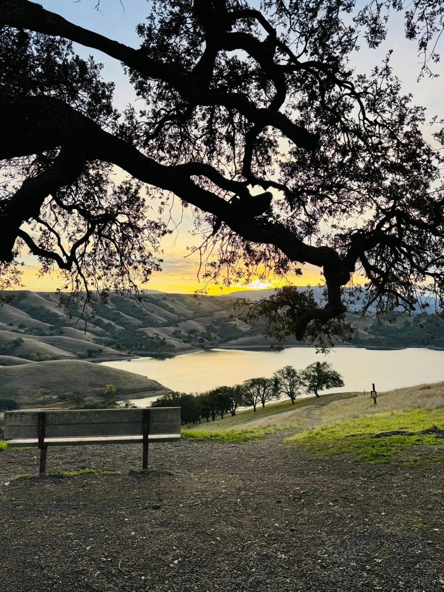Hike at Lake Chabot
