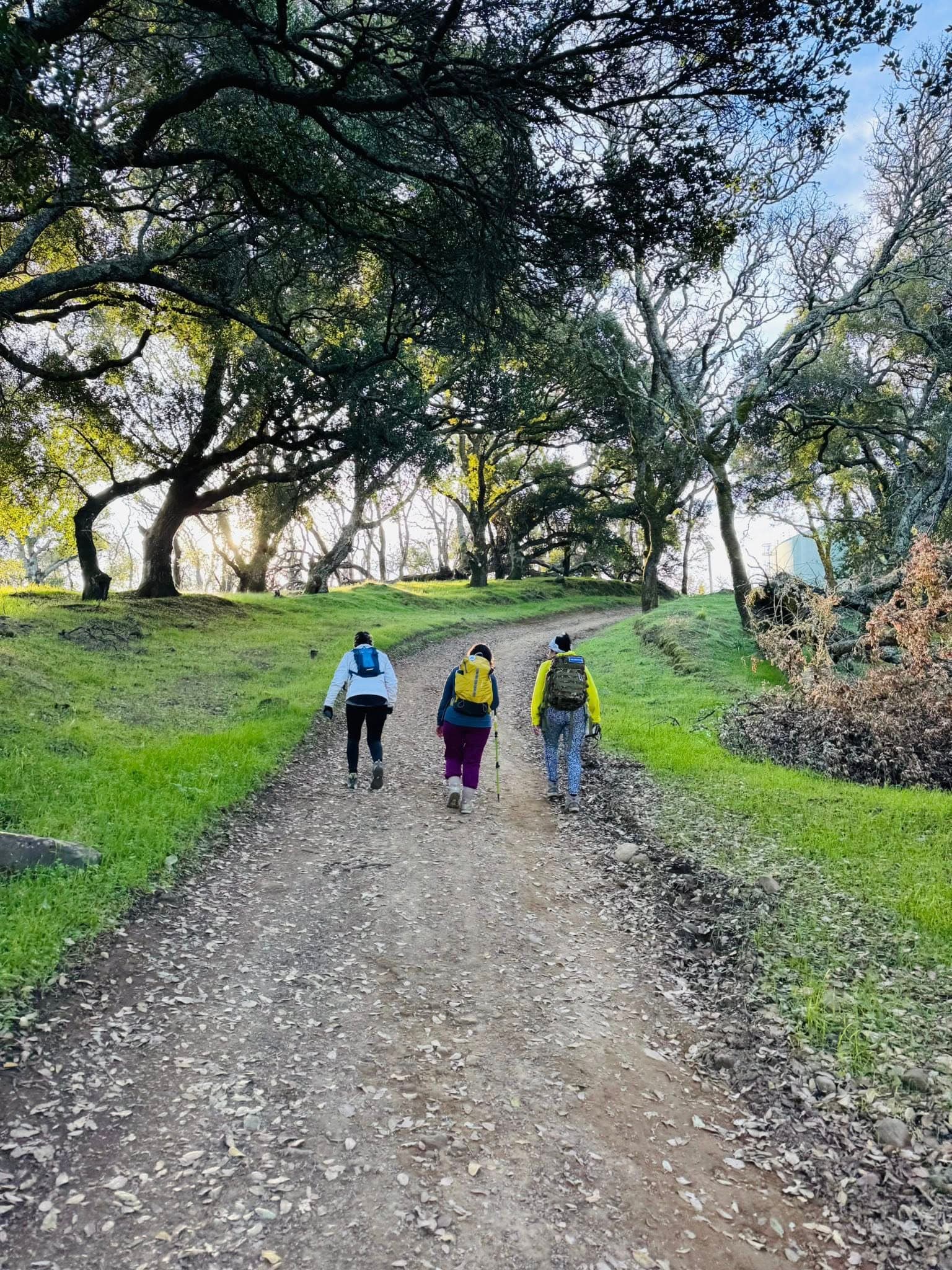 Progressive Hiking Series - 10
