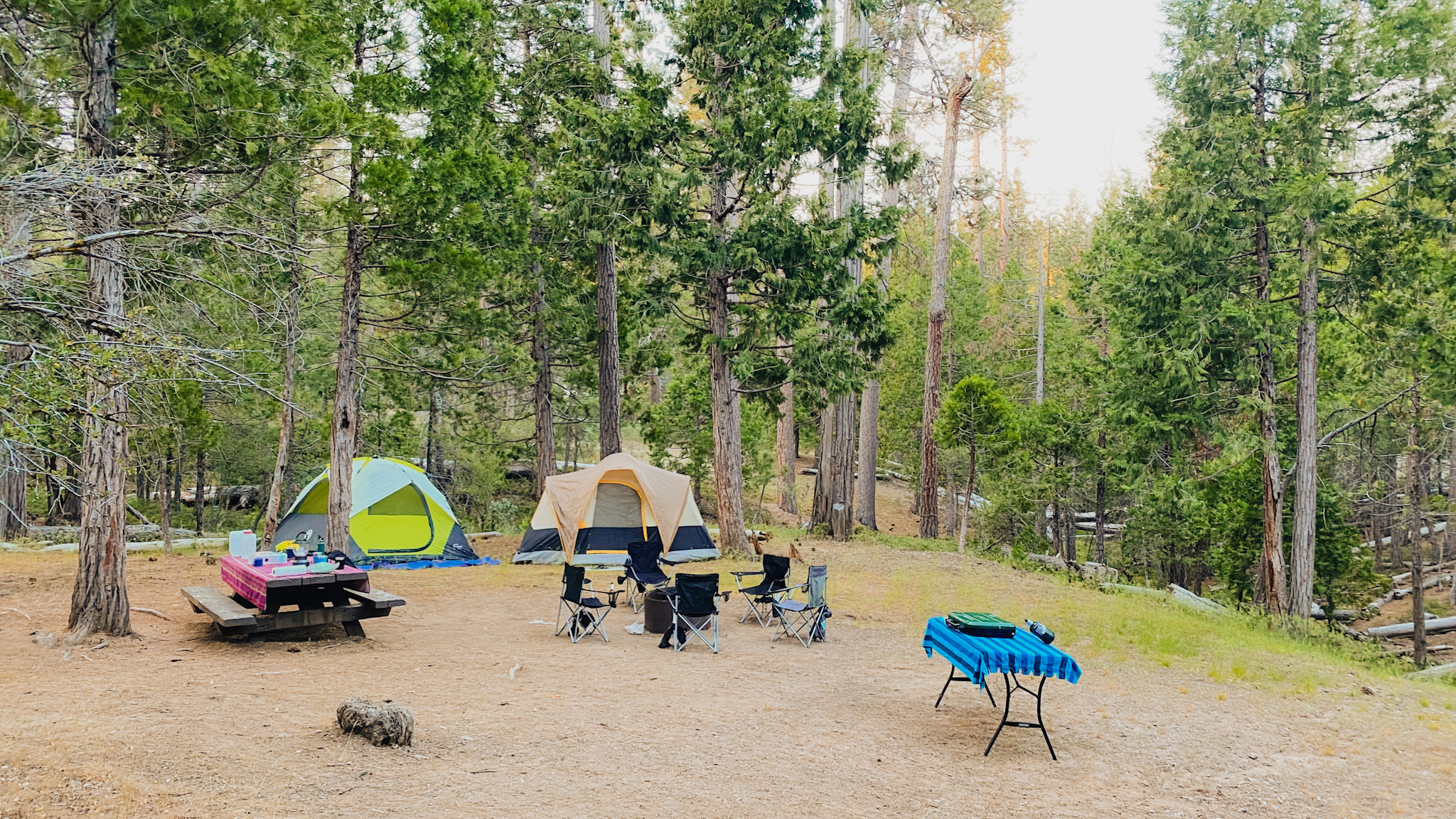 Join group camping trips and outdoor experiences at scenic campsites with MyTrailPals
