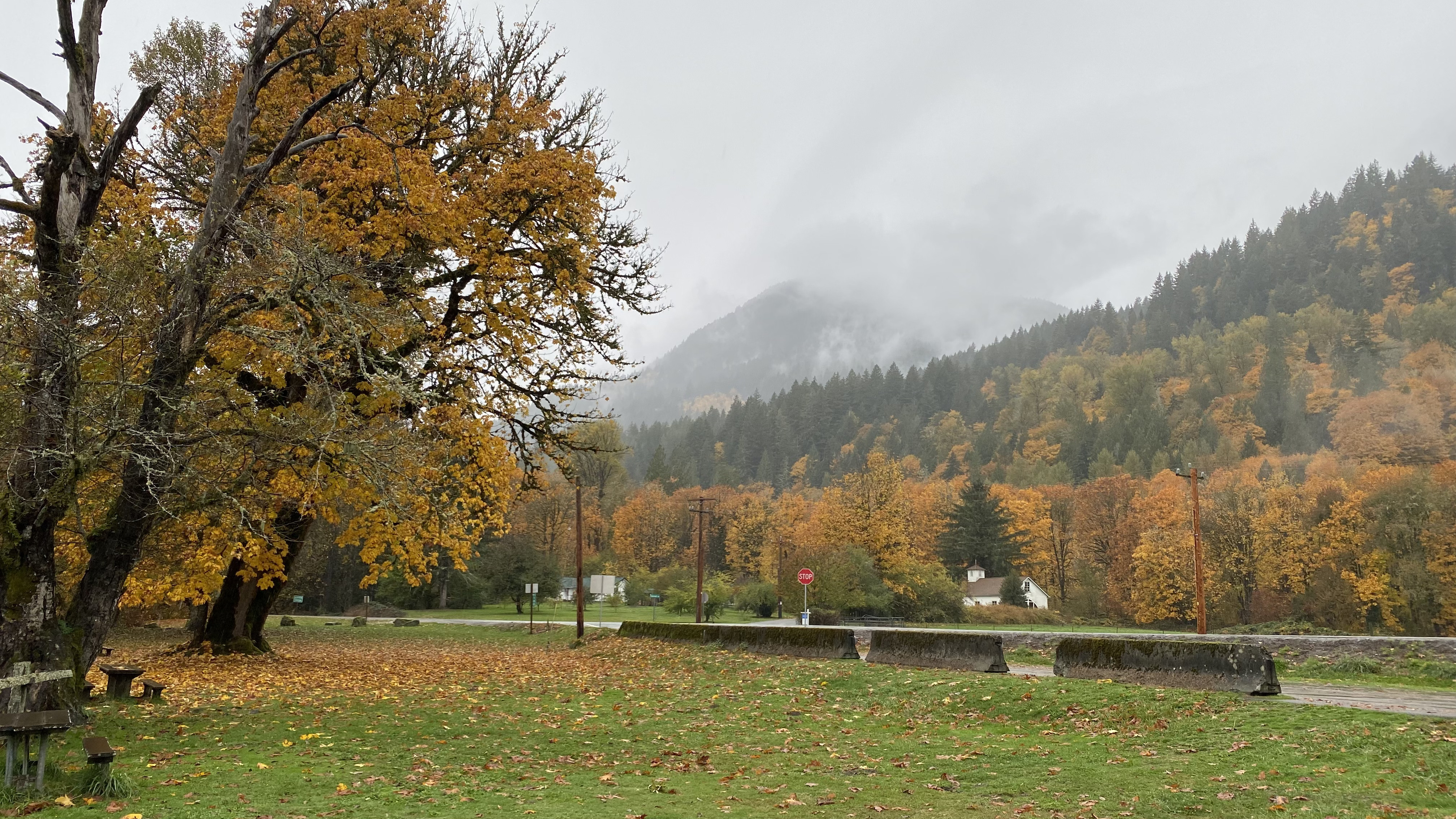 Discover hidden gems and local nature trails