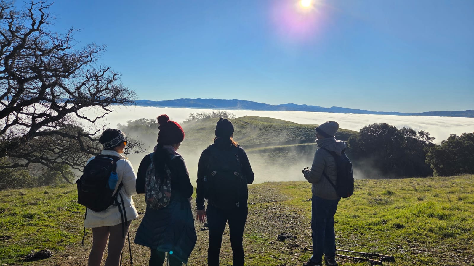 Epic mountain adventures and scenic views